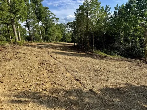 0 Highway 231 Erin TN 37061