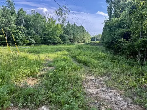 0 Highway 231 Erin TN 37061