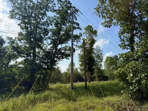 0 Highway 231 Erin TN 37061
