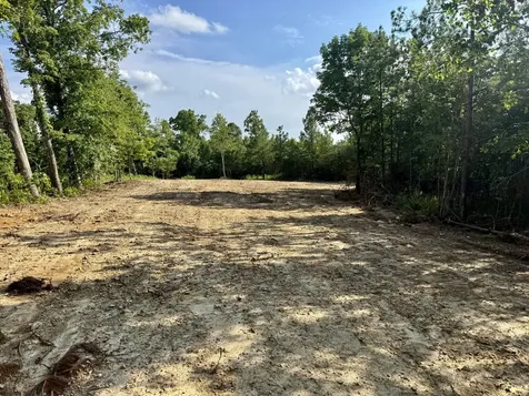 0 Highway 231 Erin TN 37061
