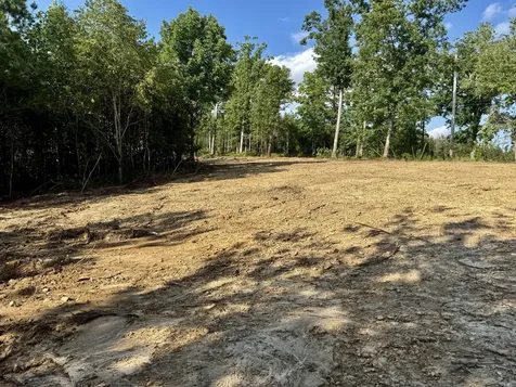 0 Highway 231 Erin TN 37061