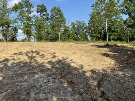 0 Highway 231 Erin TN 37061