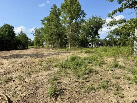 0 Highway 231 Erin TN 37061