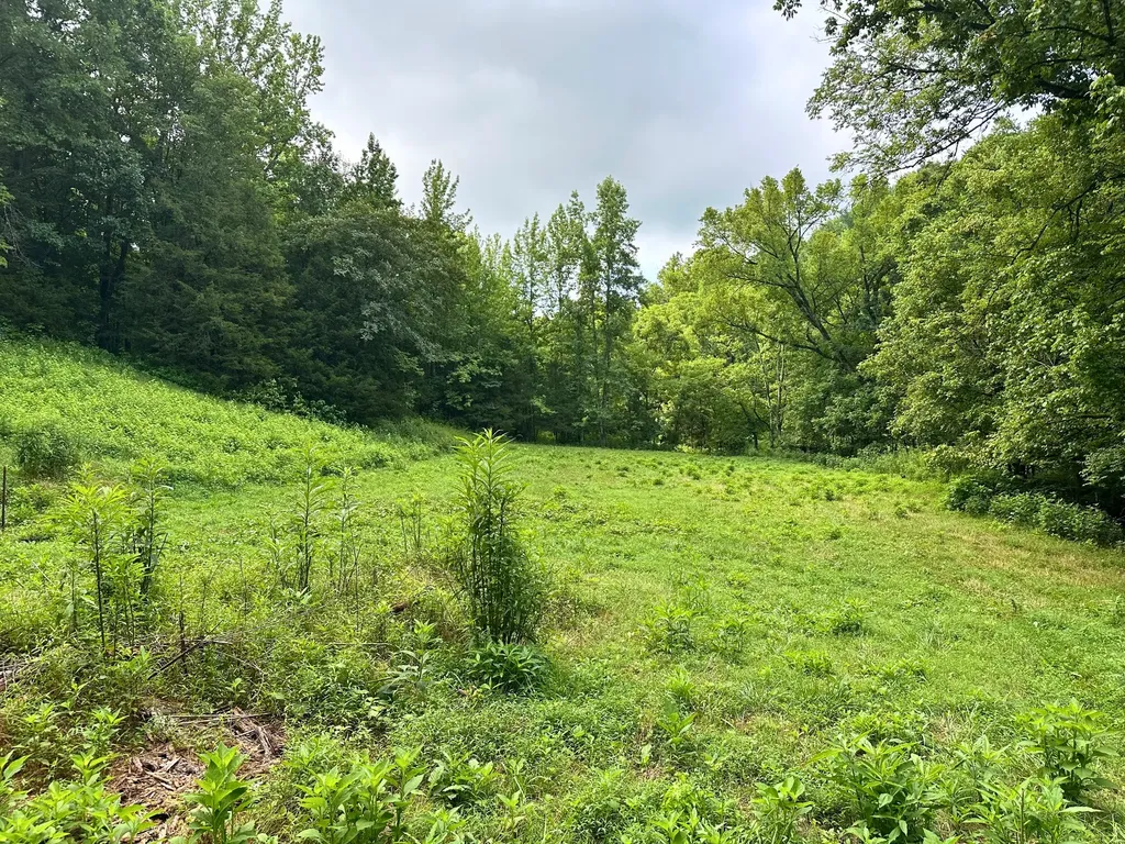 0 Dickens Road Buffalo Valley TN 38548