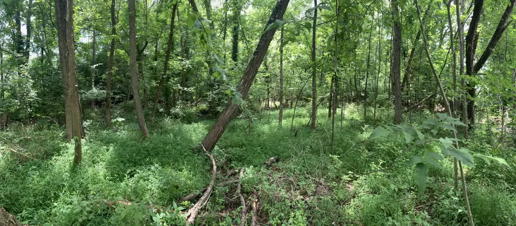 0 Township Drive Hendersonville TN 37075