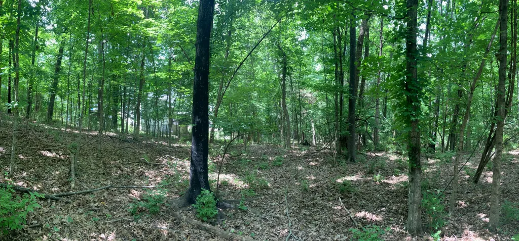 0 Township Drive Hendersonville TN 37075