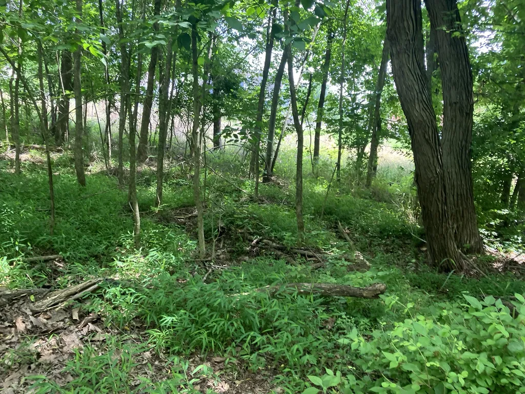 0 Township Drive Hendersonville TN 37075