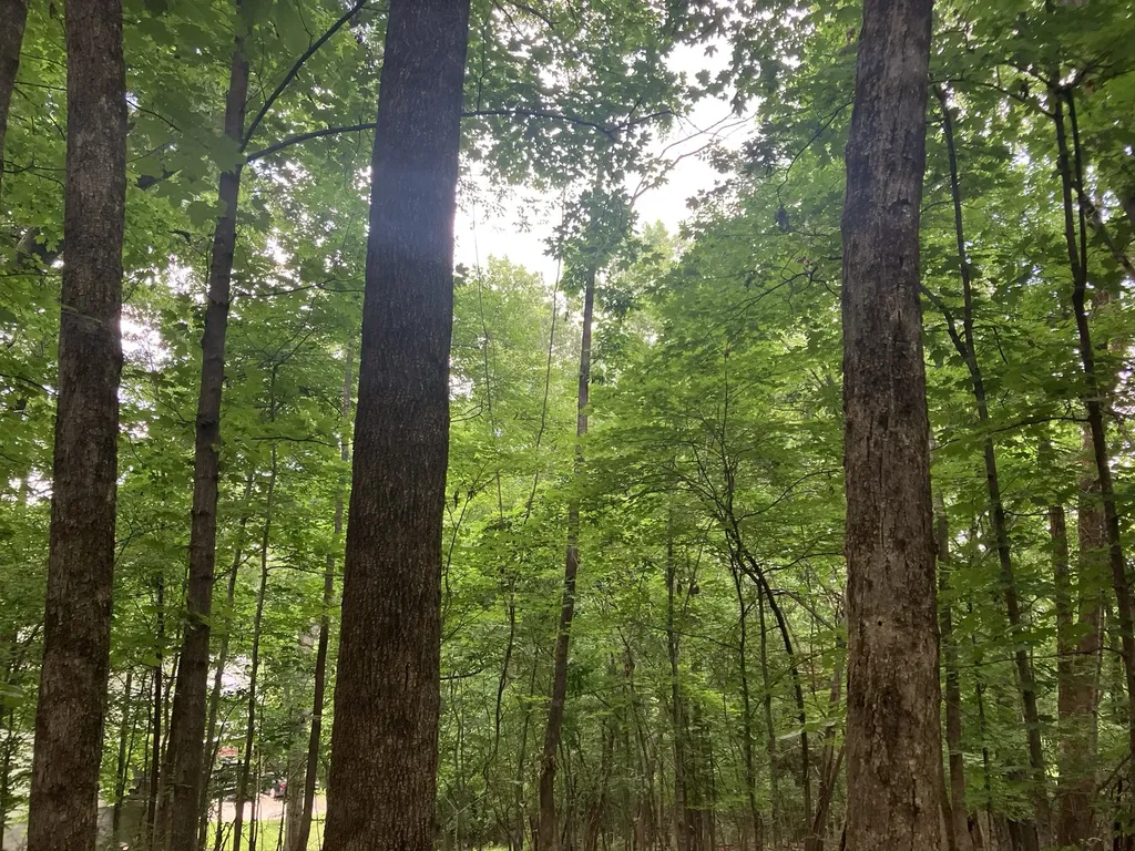 0 Township Drive Hendersonville TN 37075