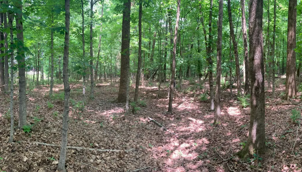 0 Township Drive Hendersonville TN 37075