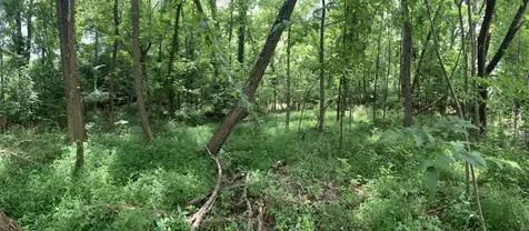 0 Township Drive Hendersonville TN 37075