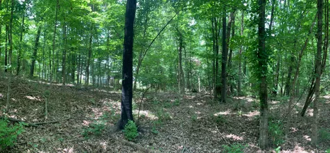 0 Township Drive Hendersonville TN 37075