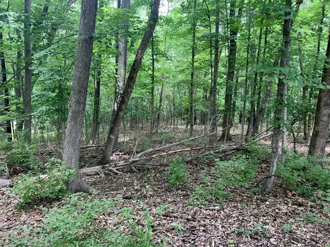 0 Township Drive Hendersonville TN 37075