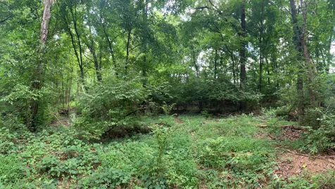 0 Township Drive Hendersonville TN 37075