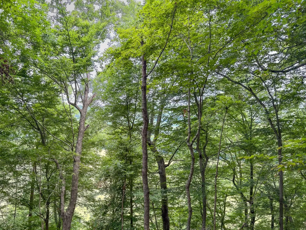 1300 Narrows Of The Harpeth Road Kingston Springs TN 37082