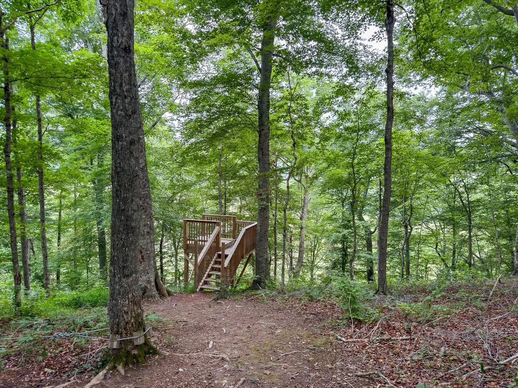 1300 Narrows Of The Harpeth Road Kingston Springs TN 37082
