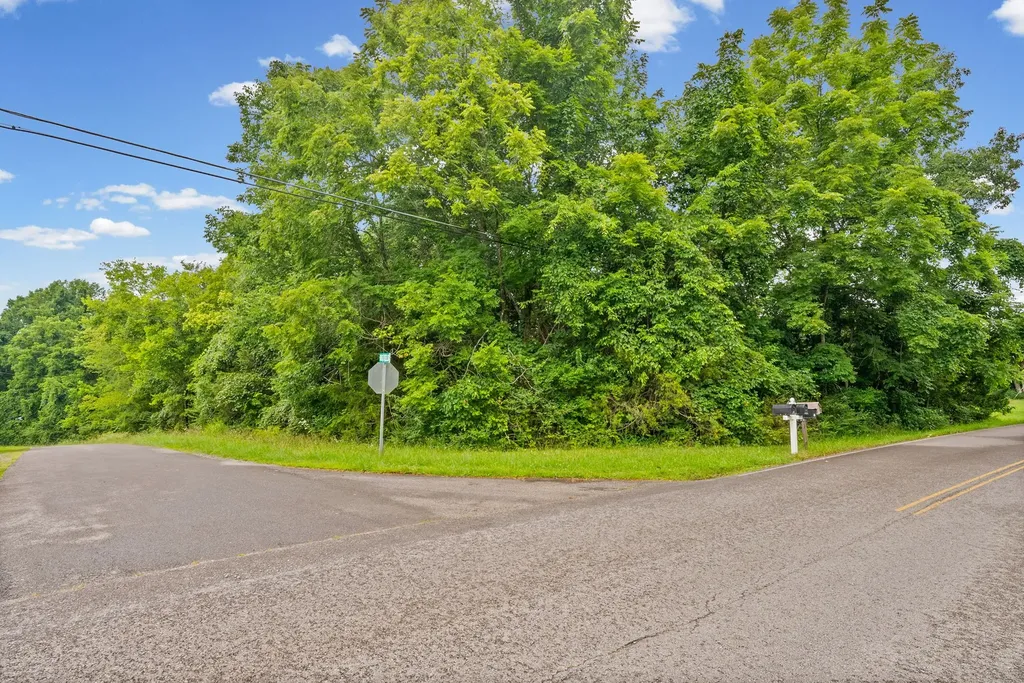 0 Highway 47 White Bluff TN 37187