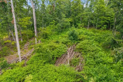 0 Highway 47 White Bluff TN 37187