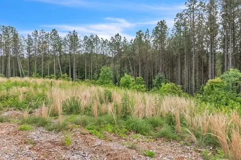 178 Sagebrush Way Dover TN 37058