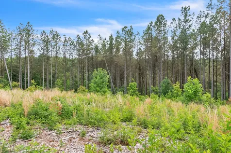 178 Sagebrush Way Dover TN 37058