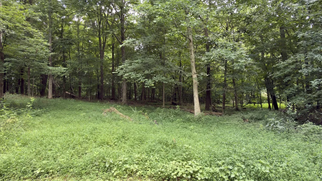 1681 Adswood Road Clarksville TN 37042