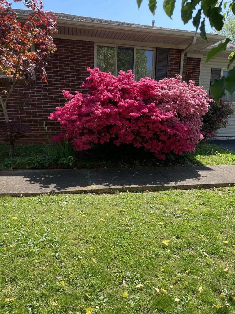 5 Richmond Drive Clarksville TN 37042
