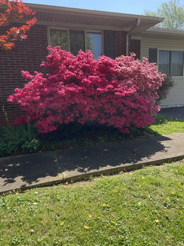 5 Richmond Drive Clarksville TN 37042