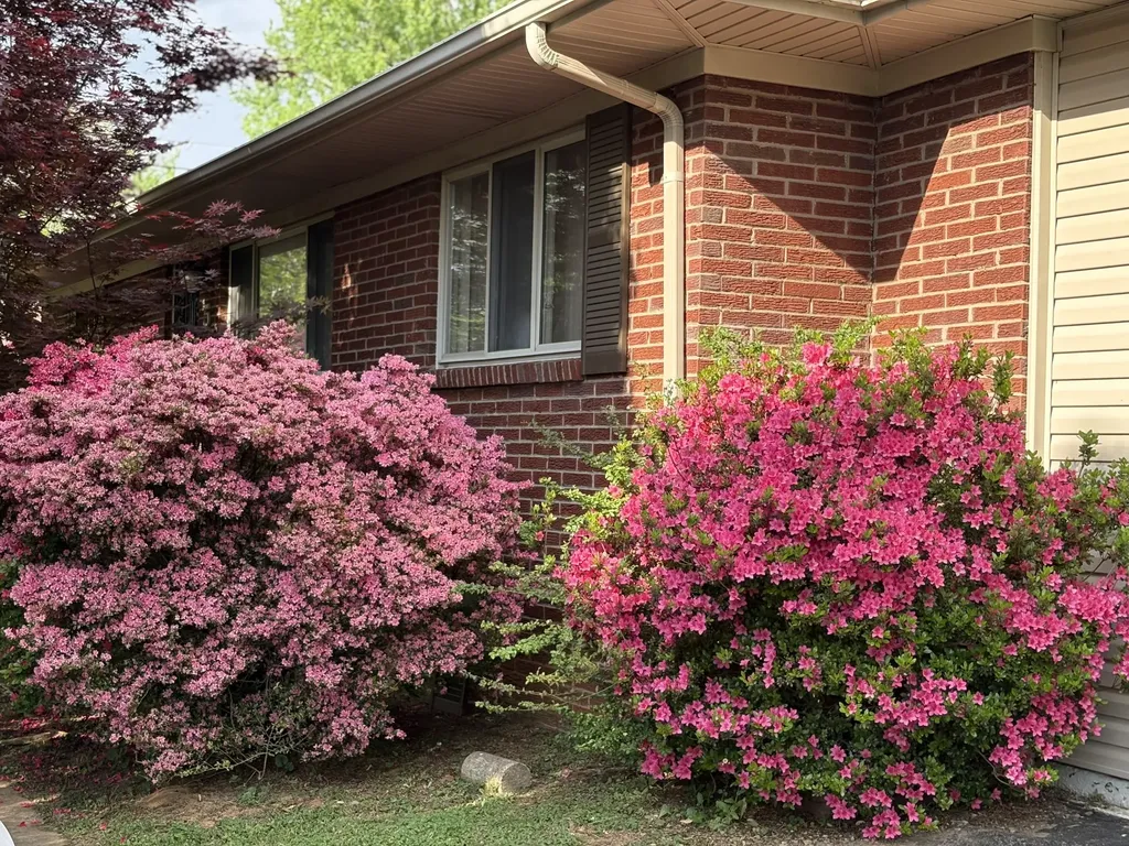 5 Richmond Drive Clarksville TN 37042