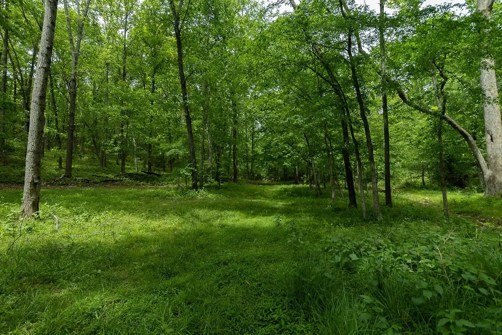 0 Billy Wynn Road Dickson TN 37055