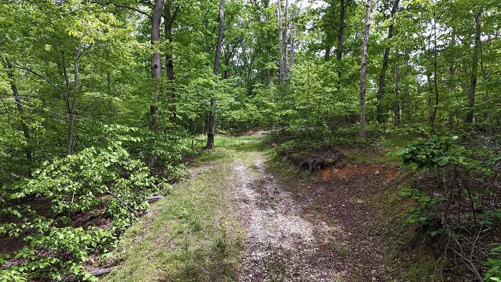 0 Billy Wynn Road Dickson TN 37055