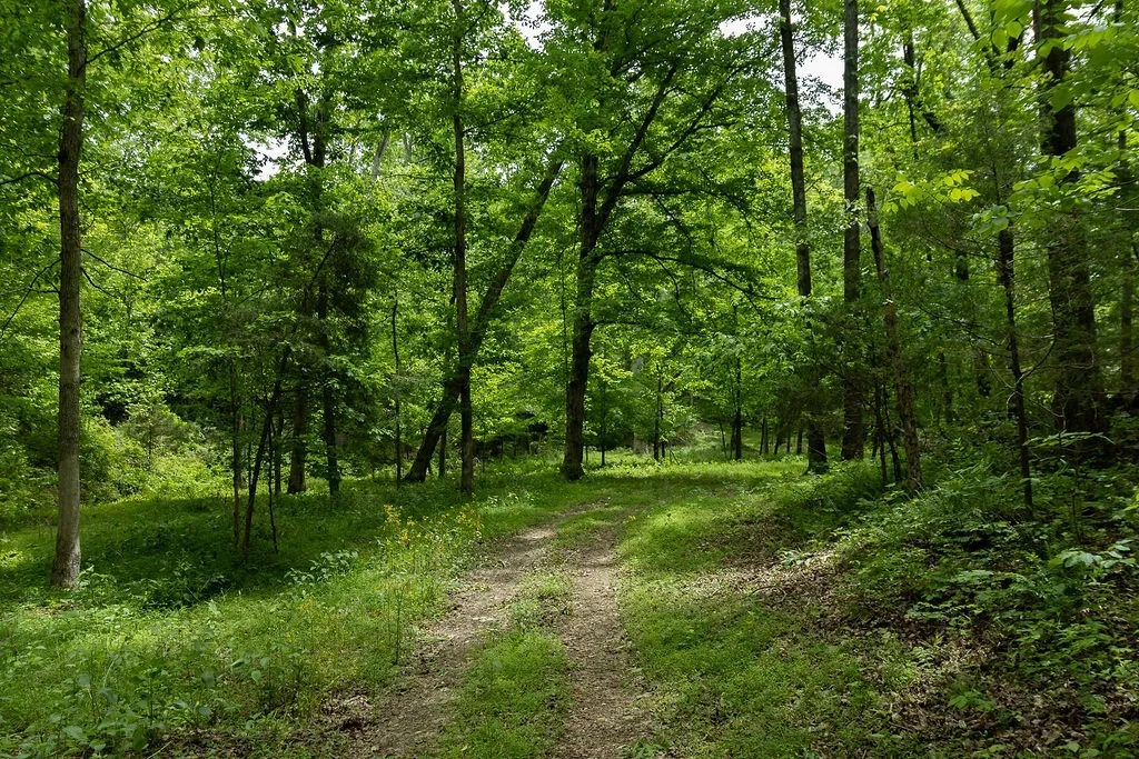 0 Billy Wynn Road Dickson TN 37055