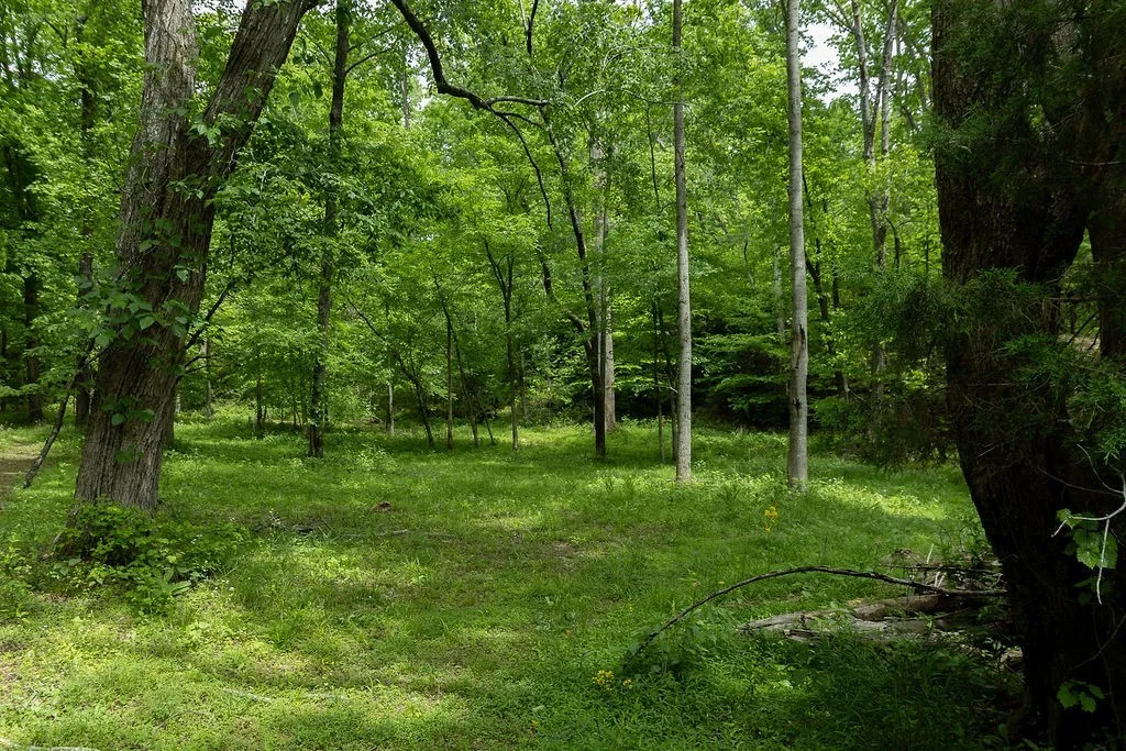 0 Billy Wynn Road Dickson TN 37055