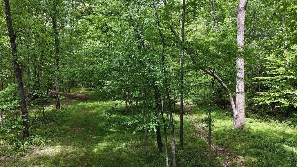 0 Billy Wynn Road Dickson TN 37055