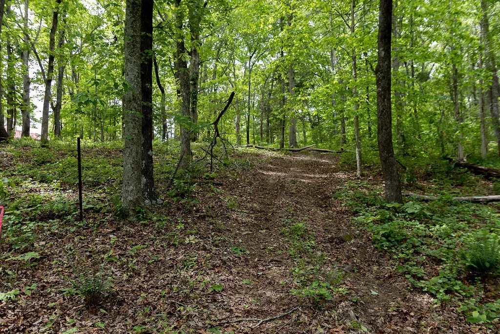 0 Billy Wynn Road Dickson TN 37055
