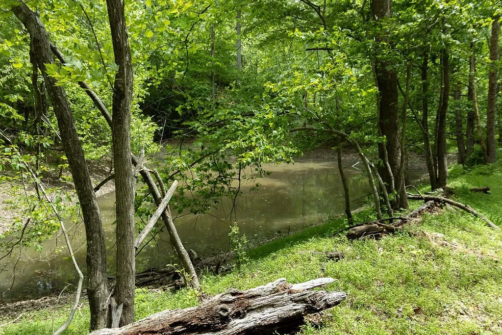 0 Billy Wynn Road Dickson TN 37055