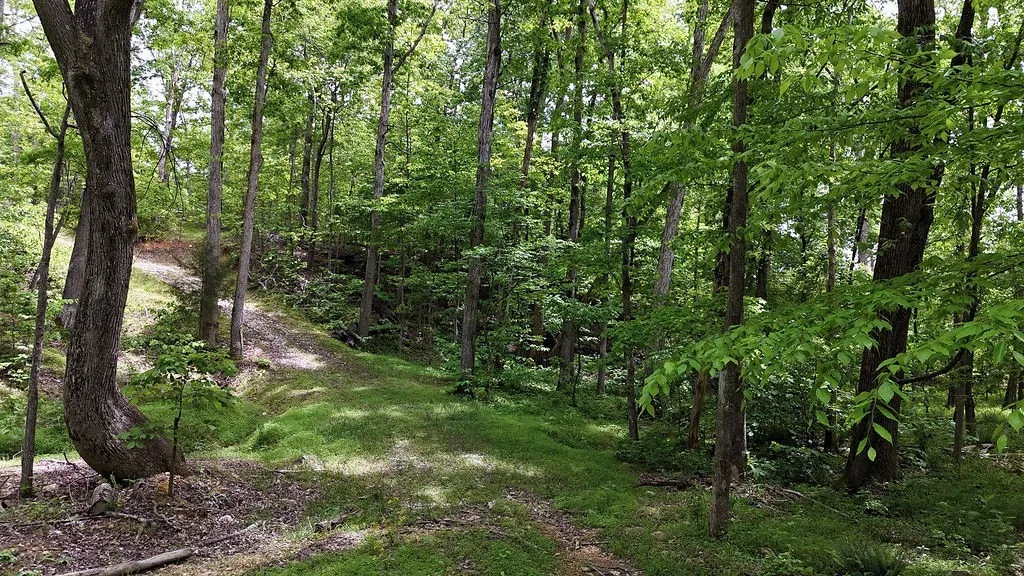 0 Billy Wynn Road Dickson TN 37055