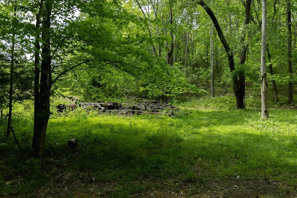 0 Billy Wynn Road Dickson TN 37055