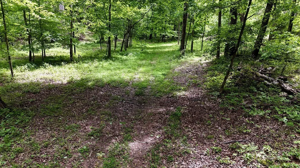0 Billy Wynn Road Dickson TN 37055