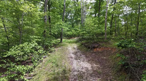0 Billy Wynn Road Dickson TN 37055