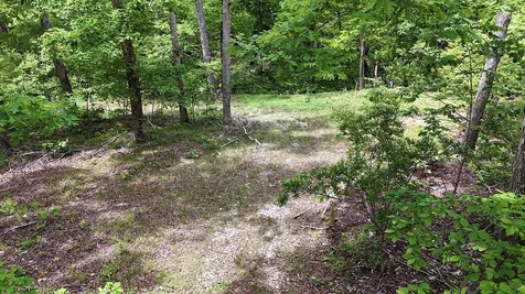 0 Billy Wynn Road Dickson TN 37055