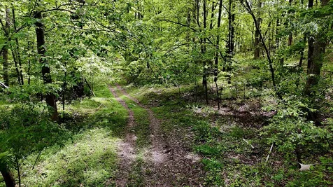 0 Billy Wynn Road Dickson TN 37055
