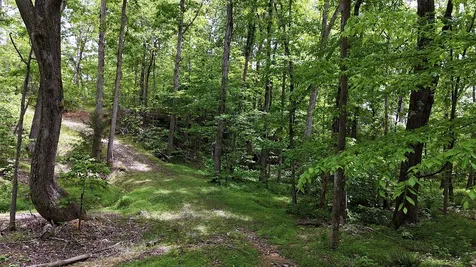 0 Billy Wynn Road Dickson TN 37055