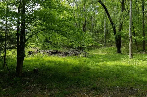 0 Billy Wynn Road Dickson TN 37055