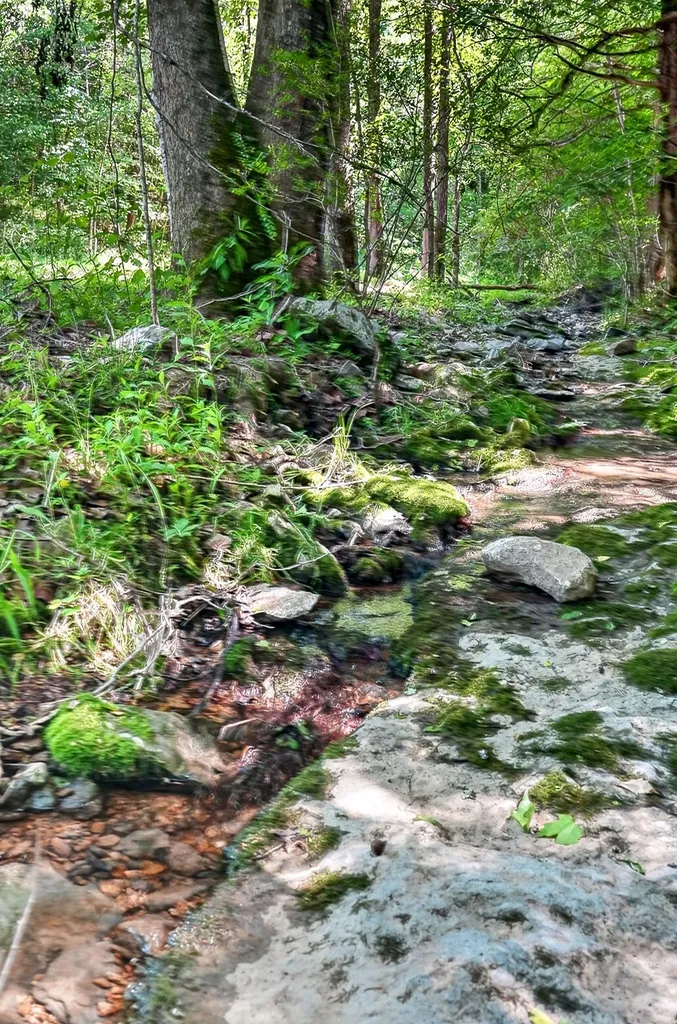 2926 Bryant Ridge Road Baxter TN 38544