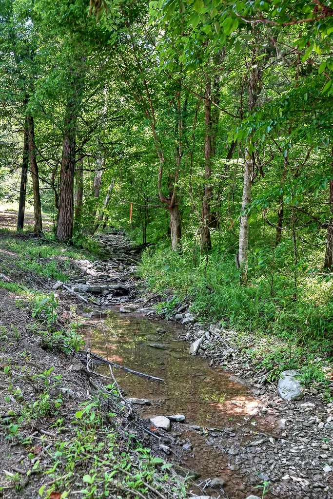 2926 Bryant Ridge Road Baxter TN 38544