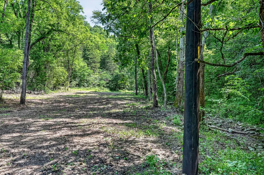 2926 Bryant Ridge Road Baxter TN 38544
