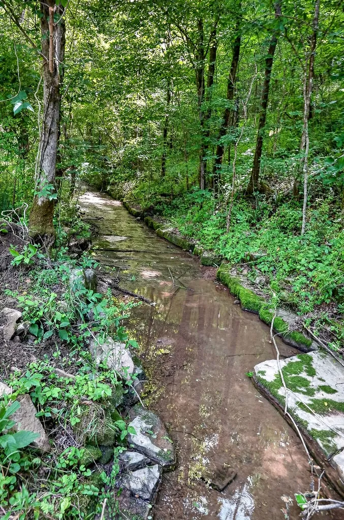 2926 Bryant Ridge Road Baxter TN 38544