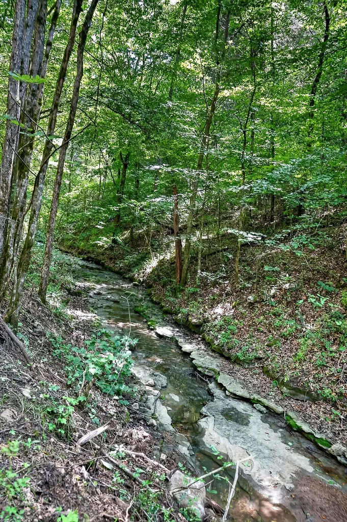 2926 Bryant Ridge Road Baxter TN 38544