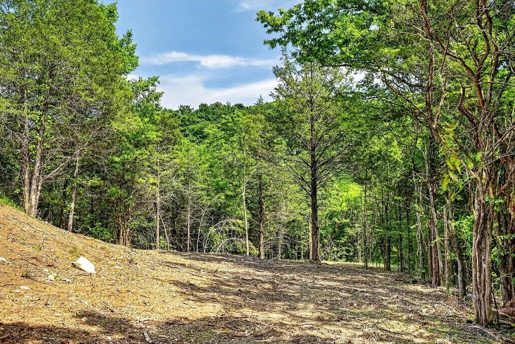 2926 Bryant Ridge Road Baxter TN 38544