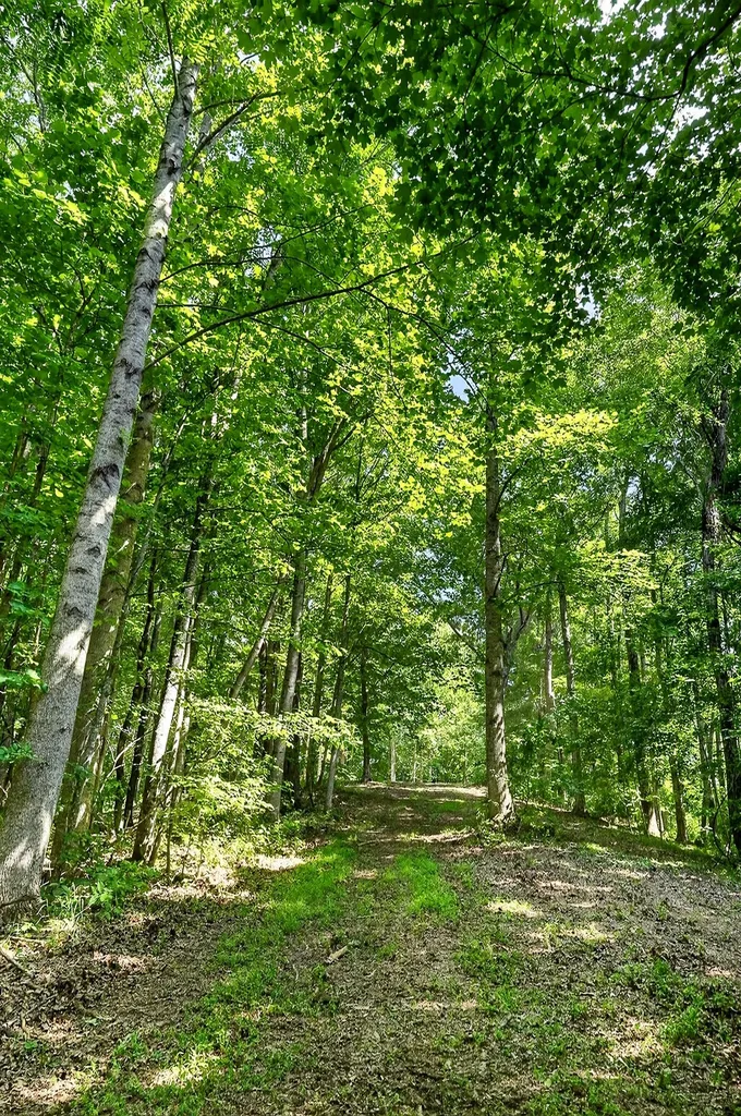 2926 Bryant Ridge Road Baxter TN 38544