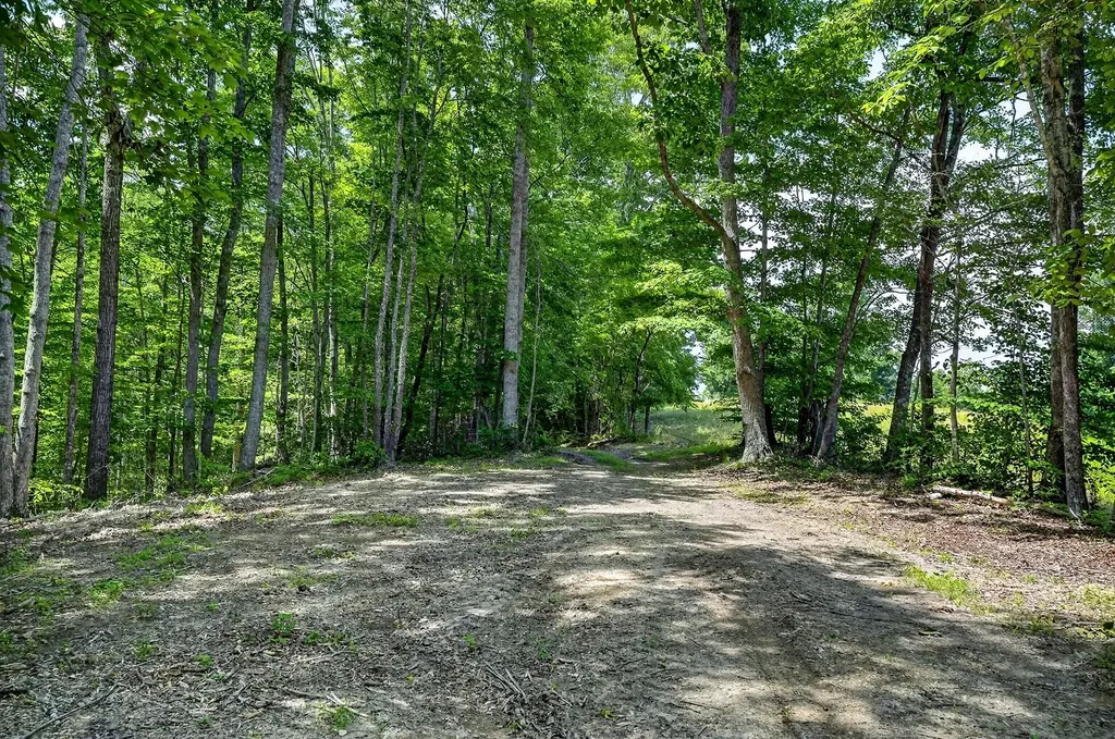 2926 Bryant Ridge Road Baxter TN 38544